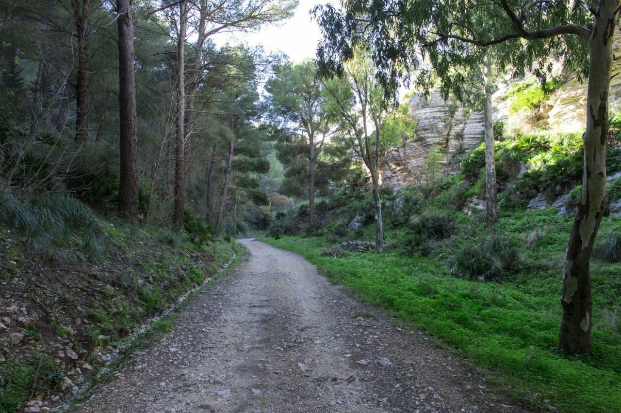 La Dimora Di Segesta B&B Calatafimi Bagian luar foto