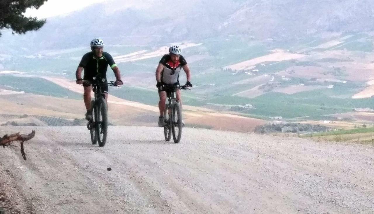La Dimora Di Segesta B&B Calatafimi Bagian luar foto